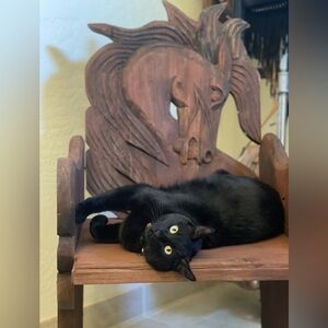 While you’re laying around, can you shop our closet?